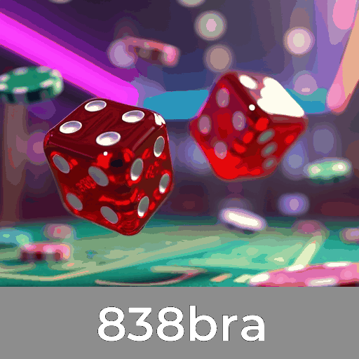 838bra: Excelência em Segurança e Serviço Profissional